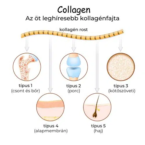 Collagen Powder Blend (kollagén)
