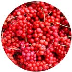 Liver Protect Complet