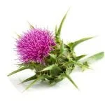 Liver Protect Complet+ ajándék Detox tea