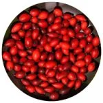 BMT® Q10+Szelénium MIKROKAPSZULÁZOTT