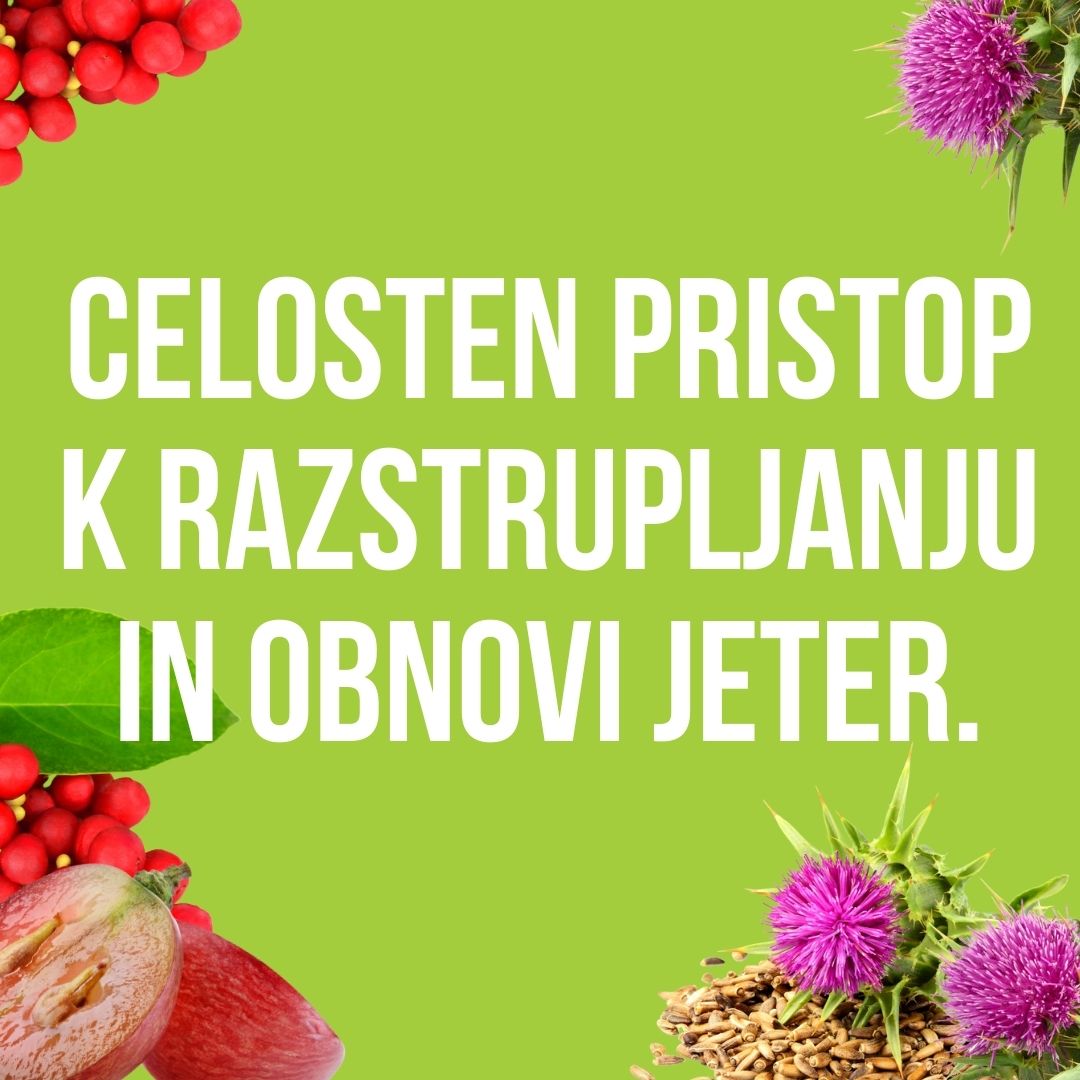 Izdelek brez naslova 31 Liver Protect Complet