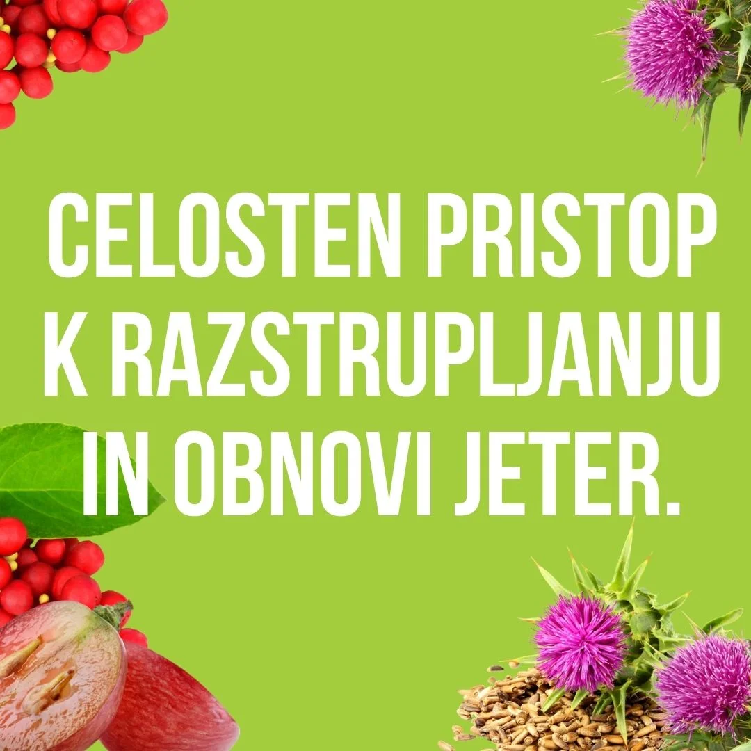 Liver Protect Complet
