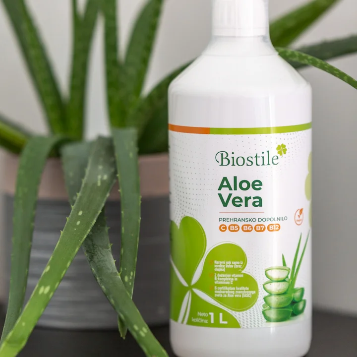 Aloe Vera