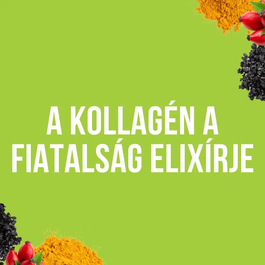 Collagen Powder Blend (kollagén)