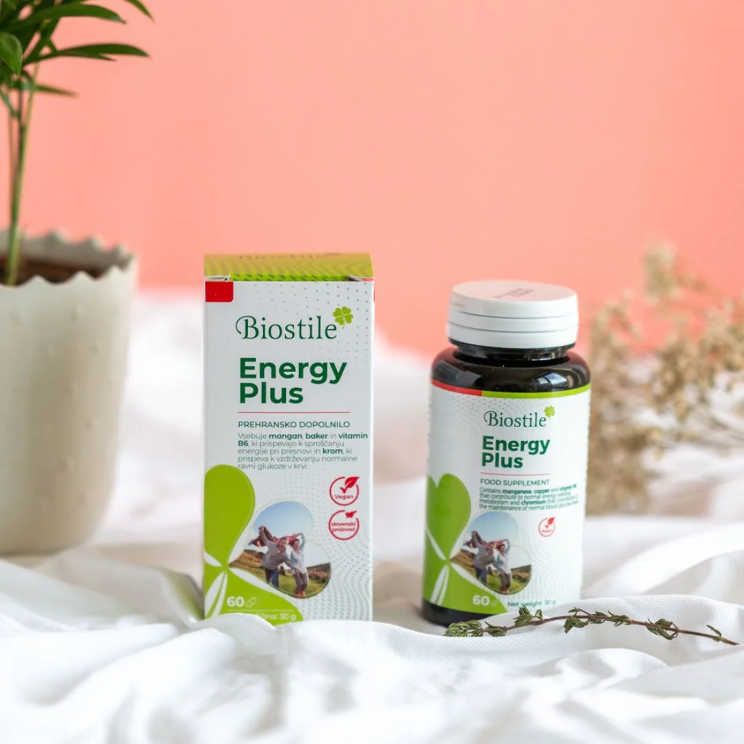 Energy Plus