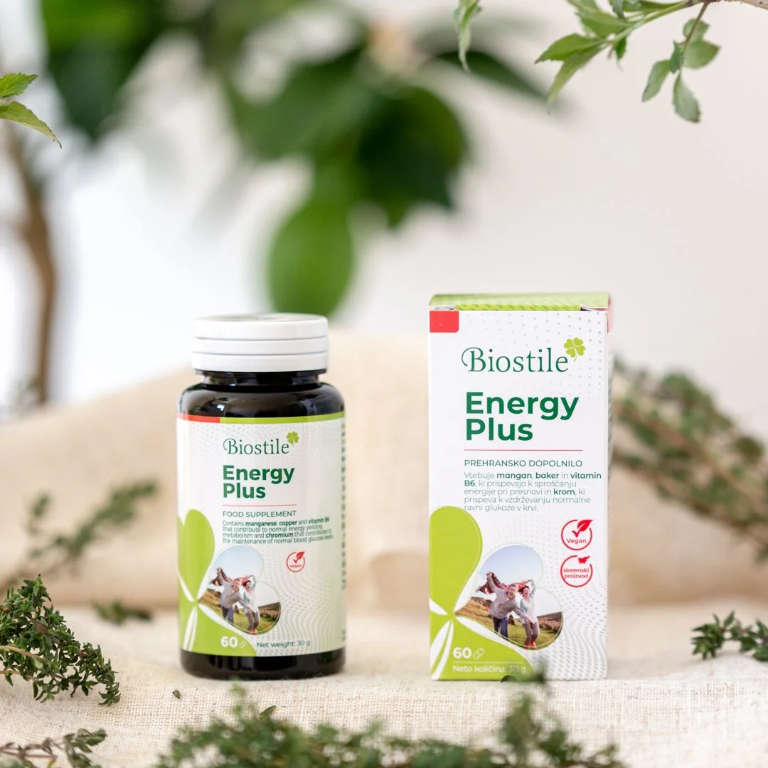 Energy Plus