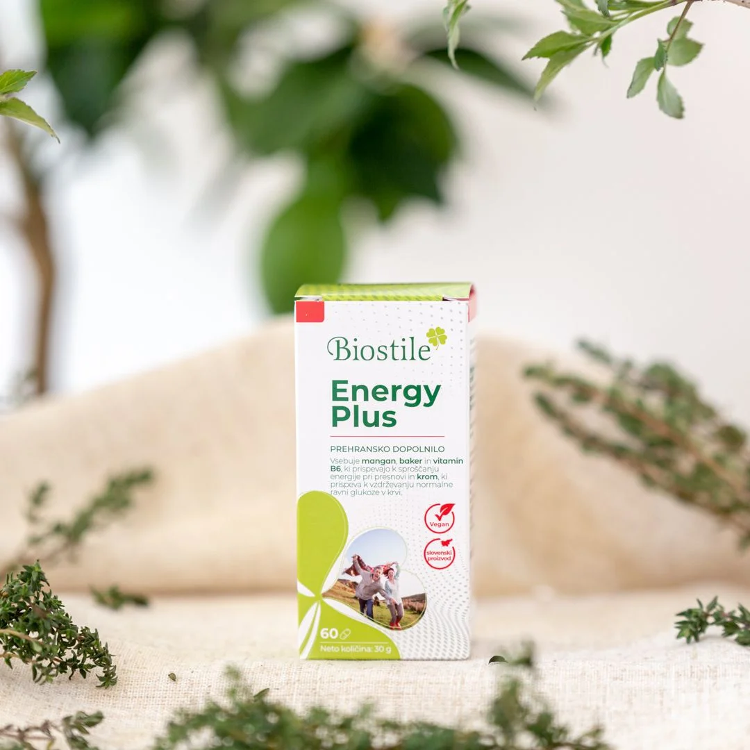Energy Plus