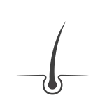 Collagen Powder Blend (kollagén)