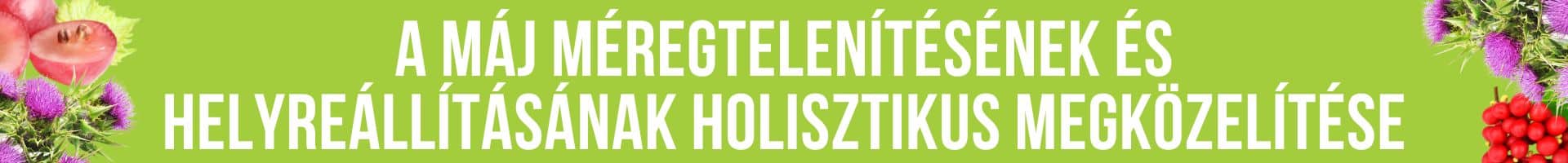 liver protect web 2 1 Liver Protect Complet