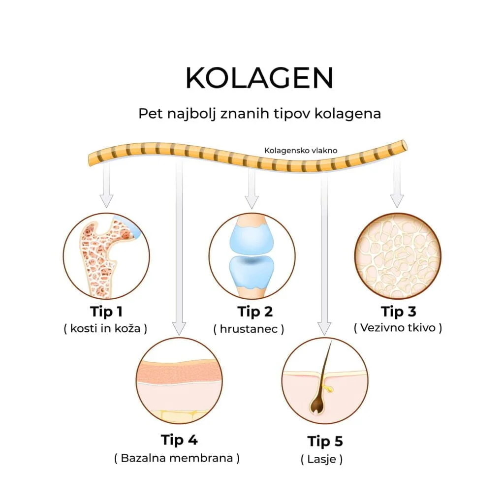 Collagen Powder Blend -50% Senior