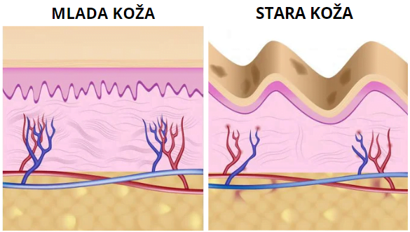 Anti-age csomag - A ragyogó és fiatalos bőrért