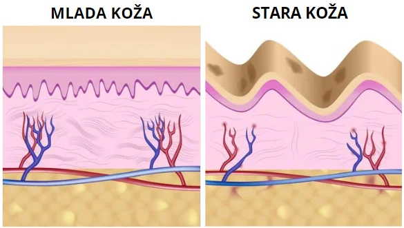 Anti-age csomag - A ragyogó és fiatalos bőrért