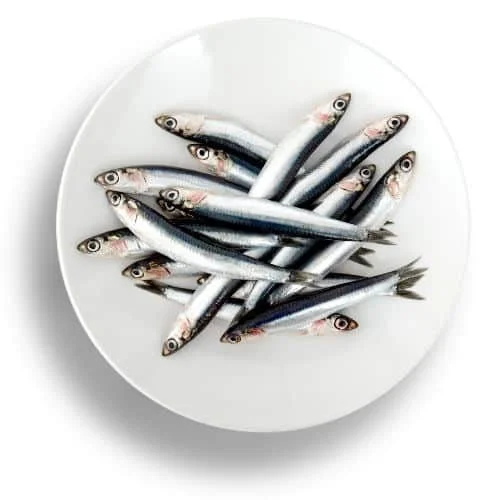 Omega 3 Elite 2+1 INGYEN