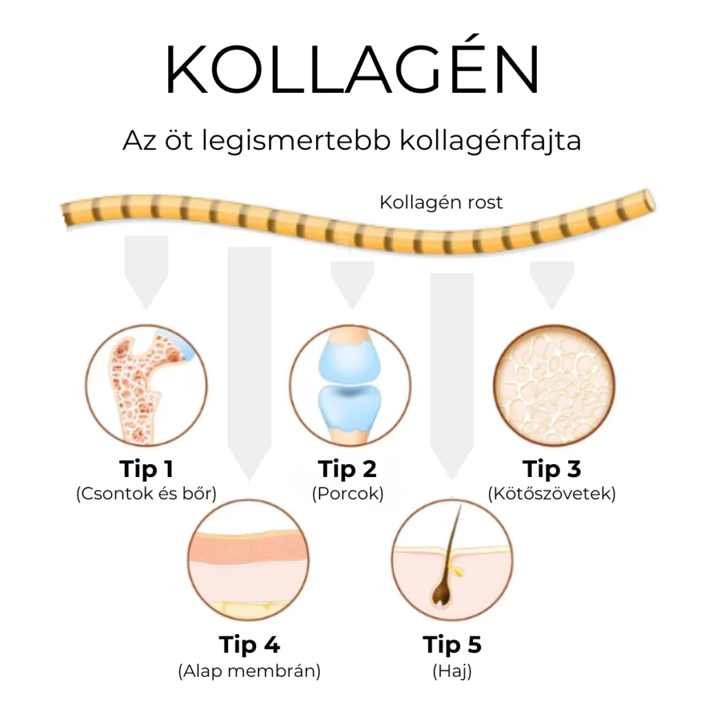 Collagen Pineapple (kollagén)