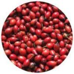 Collagen Premium Passion Total NEZNIZANO-HIDDEN