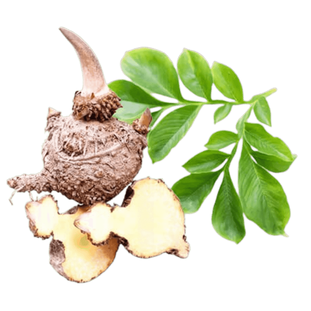 brand slimis bonboni za hujsanje lp 1 safe