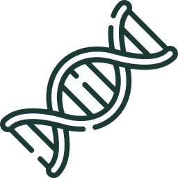 brand collagen s hialuronsko kislino mladosten videz lp 1