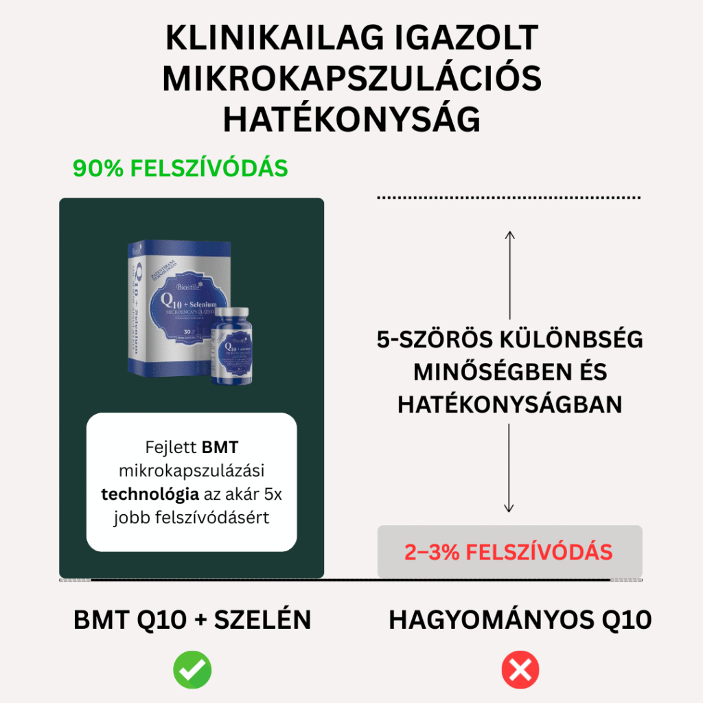 brand bmt q10 izcrpanost lp1