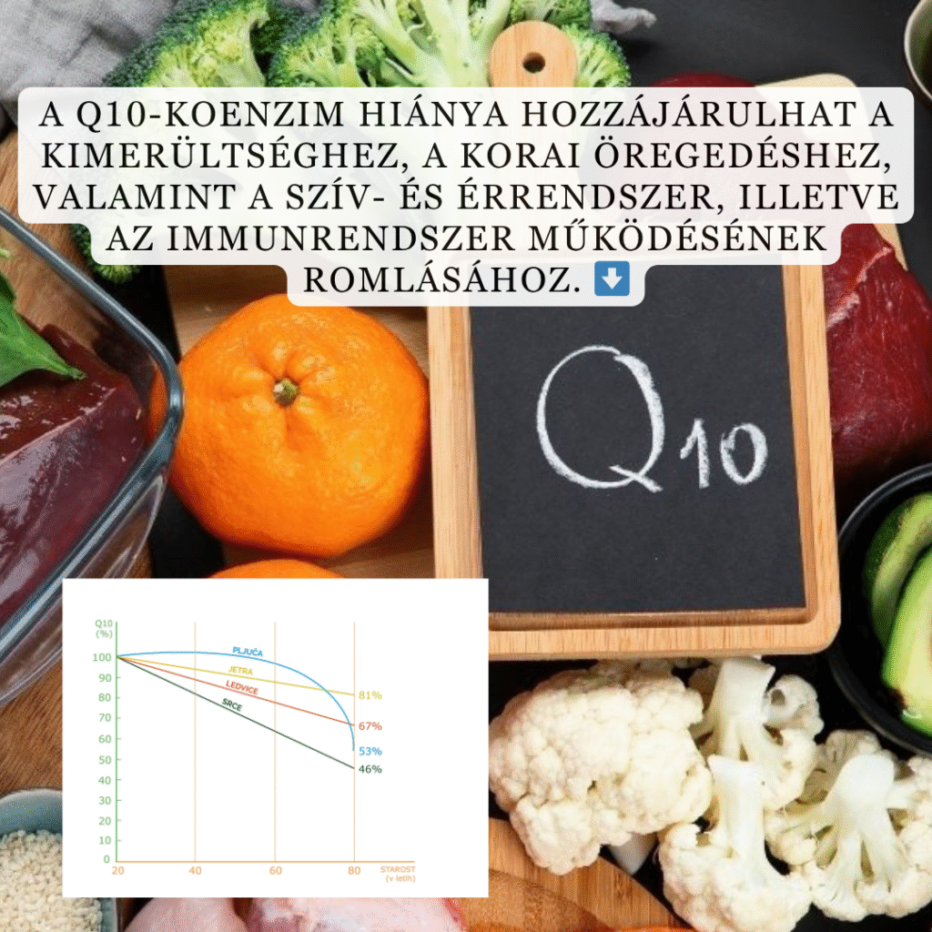 brand bmt q10 izcrpanost lp1